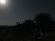 Thumbs/tn_moonlight.jpg